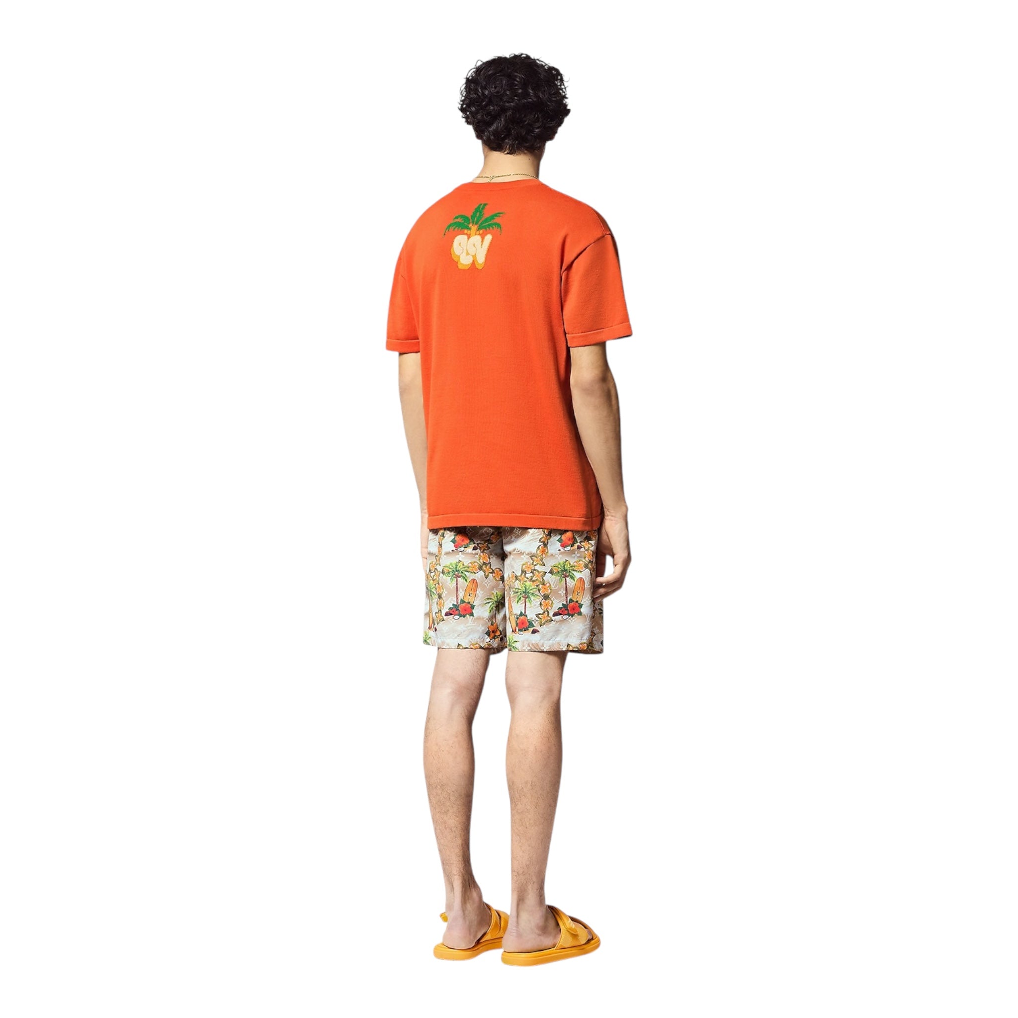 Louis vuitton t-shirt