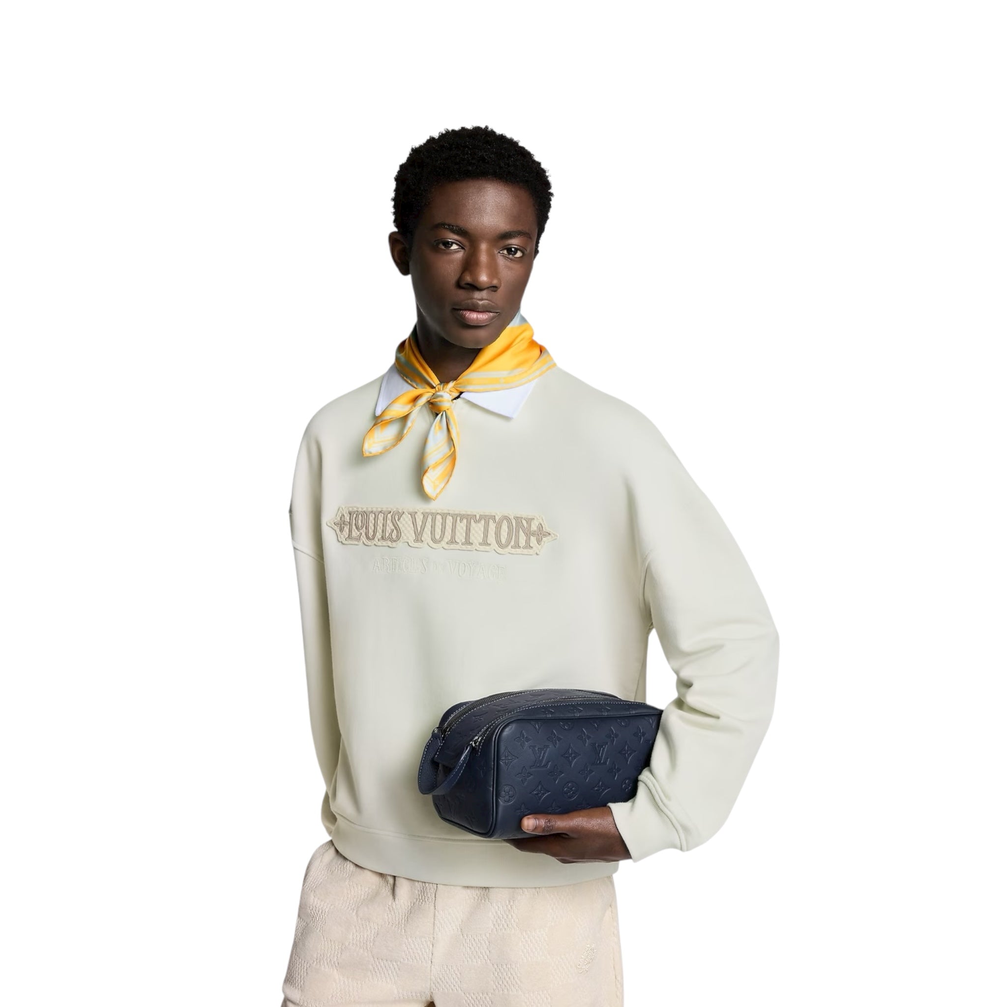 Louis Vuitton Hand Bag