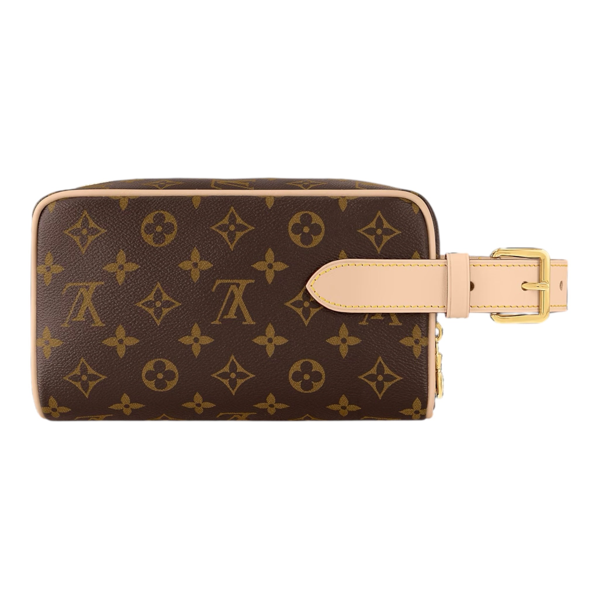 Louis Vuitton Hand Bag