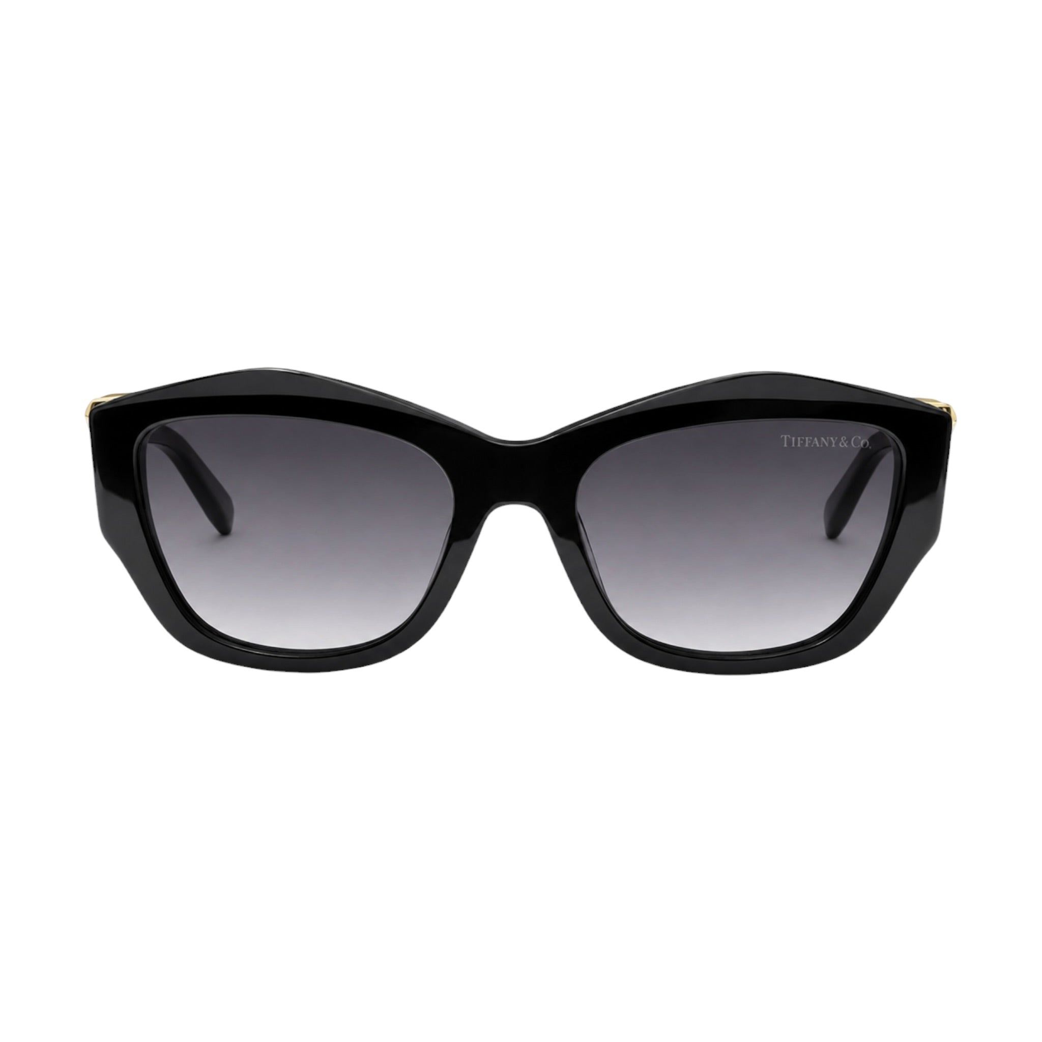 Tiffany & Co Sunglasses OG
