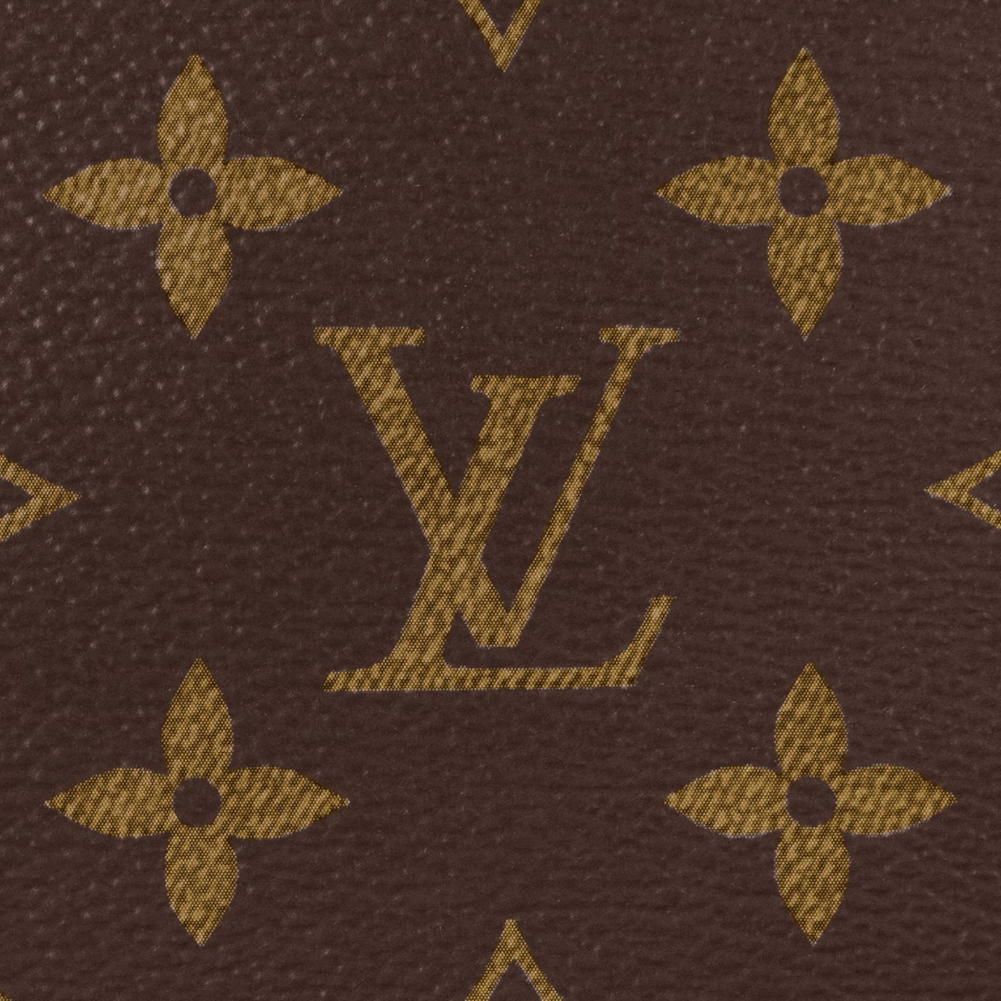 Louis Vuitton Hand Bag