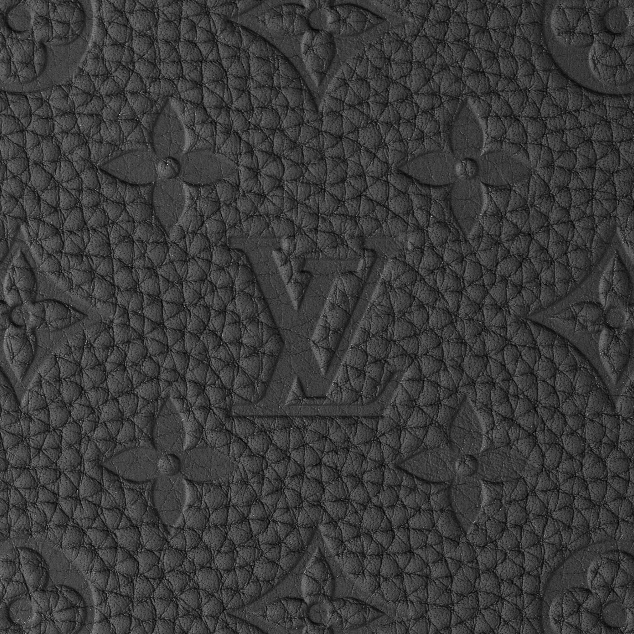 Louis Vuitton Travel Bag
